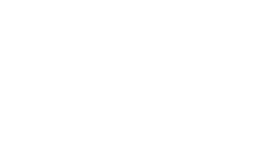 Enson Group Logo
