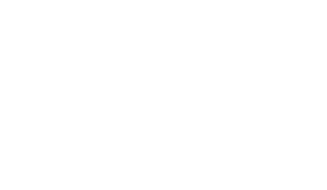 Western and Southern Logo